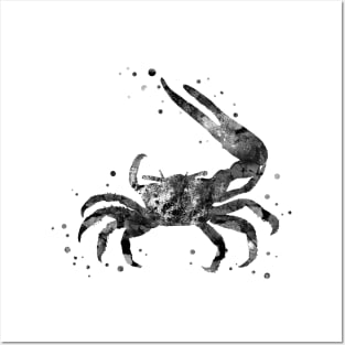 Fiddler crab Posters and Art